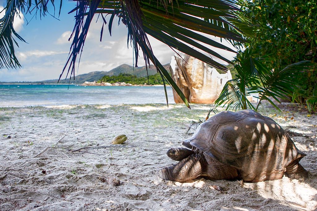 Voyage Seychelles