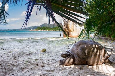 Voyage Seychelles