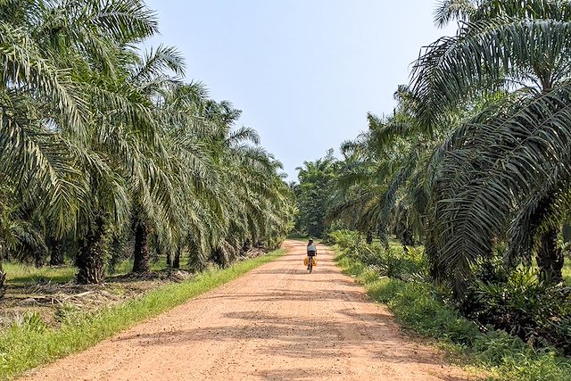 Voyage De Bangkok à Khao Sok à vélo
