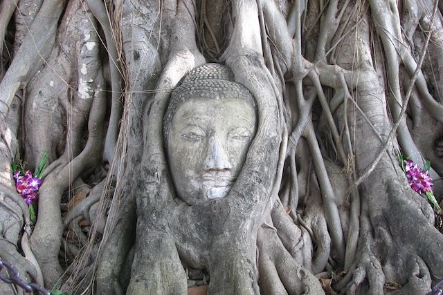 Voyage : Temples, jungle et plages paradisiaques Voyage Temples, jungle et plages paradisiaques