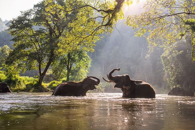 Voyage Charme et traditions: le nord Thaïlandais en lodge