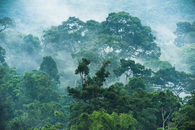 Voyage Temples, jungle et plages paradisiaques