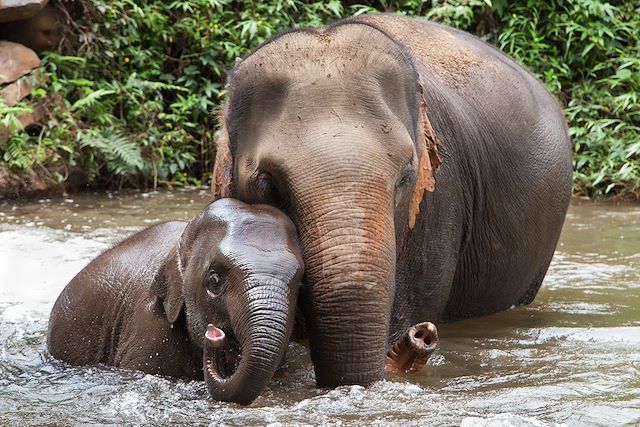 Voyage : La Thaïlande au fil de l'eau Voyage La Thaïlande au fil de l'eau