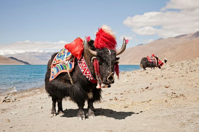 Voyage : Traversée du Tibet central Voyage Traversée du Tibet central