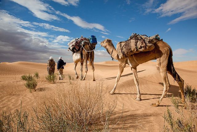 Voyage Oasis et dunes du Grand Erg oriental