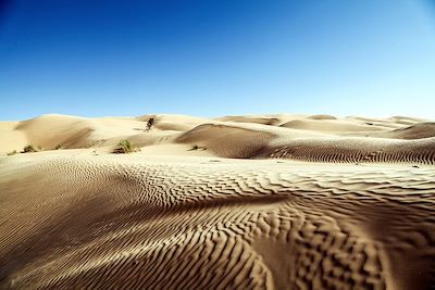 Voyage Désert Tunisie