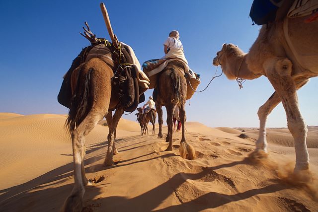 Voyage Pistes sahariennes et sentiers berbères 