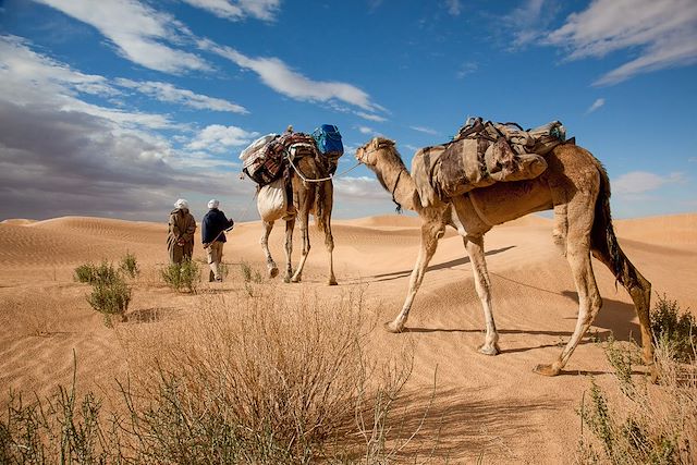Voyage Oasis et dunes du Grand Erg oriental