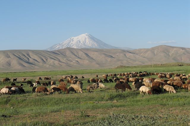 Voyage Ascension du Mont Ararat (5137m)
