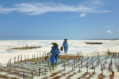 Voyage Bord de mer et îles Tanzanie