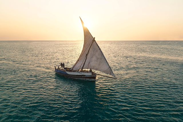 Voyage Safari en Tanzanie et rêveries à Zanzibar 