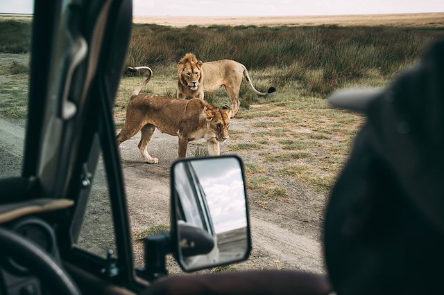 Voyage Safari en Tanzanie et rêveries à Zanzibar 
