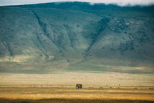 Voyage En marche au cœur du pays Masai
