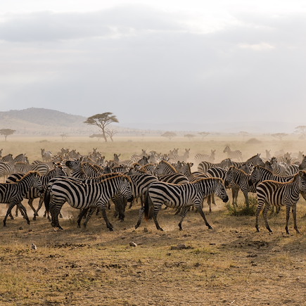Voyage Tanzanie