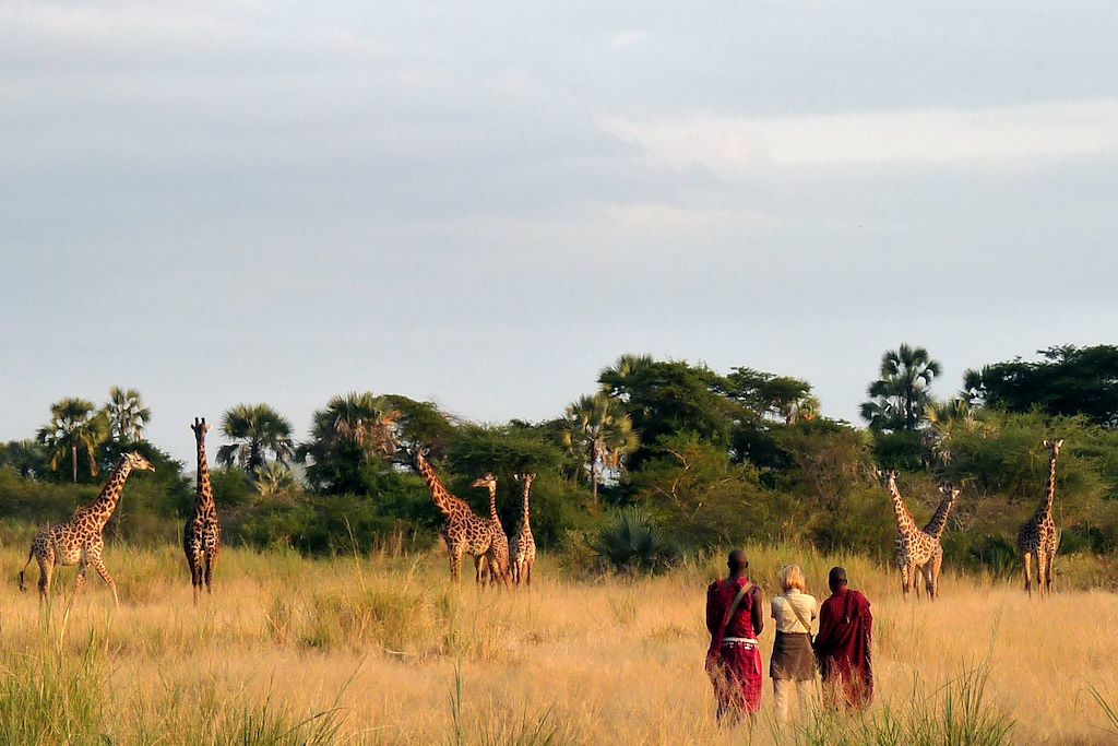 Randonnée Tanzanie