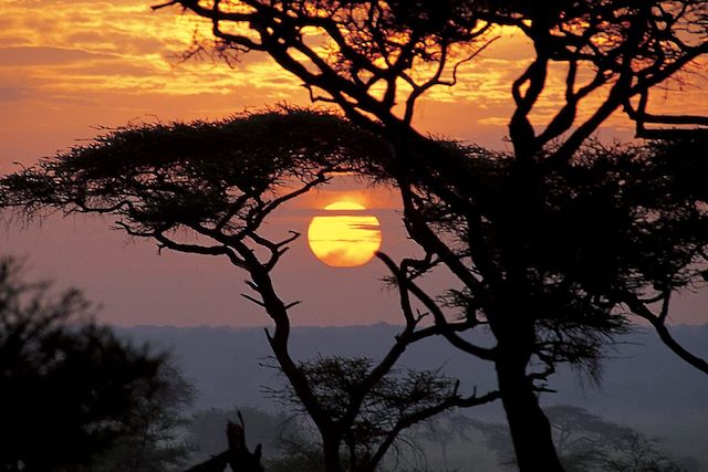 Voyage Safaris en lodges de charme 