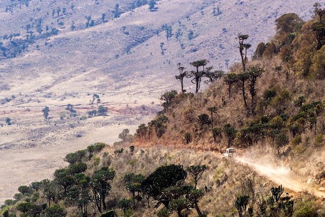 Voyage Safaris en lodges de charme 