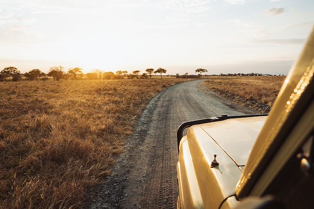 Voyage Safaris en lodges de charme 