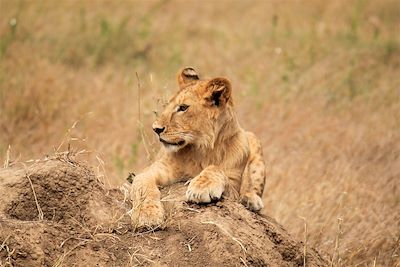 Tanzanie : Voyages en famille
