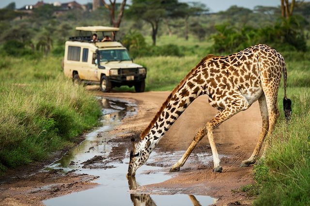 Voyage Au coeur du Selous, l'autre visage de la Tanzanie