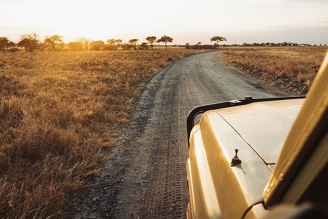 Voyage Safaris au coeur de Nyerere, la Tanzanie autrement