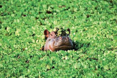 Voyages en famille Tanzanie