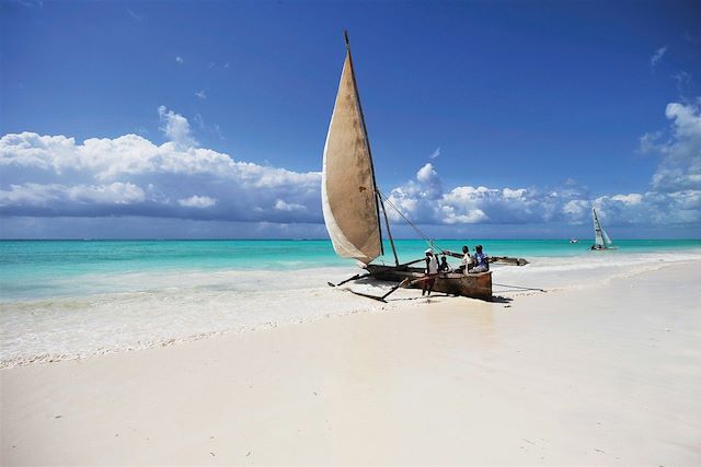 Safari en véhicule : Safari magique et évasion à Zanzibar Voyage Safari magique et évasion à Zanzibar