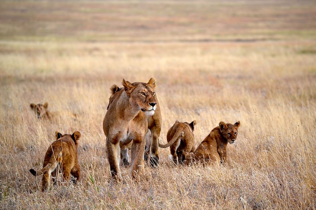 Voyage Tanzanie