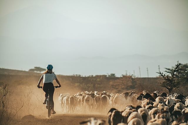 VTT / Gravel : Vélo et safaris, du Kilimandjaro au Ngorongoro Voyage Vélo et safaris, du Kilimandjaro au Ngorongoro