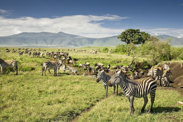 Voyage Du parc du Serengeti au lac Natron 