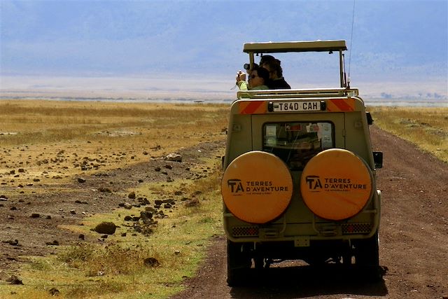 Safari : Kaléidoscope animalier Voyage Kaléidoscope animalier