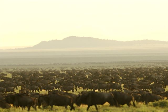 Voyage Au cœur de la grande migration du Serengeti
