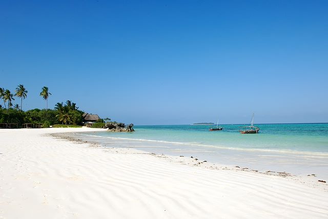 Voyage : Des plages de Zanzibar au coeur du Selous Voyage Des plages de Zanzibar au coeur du Selous