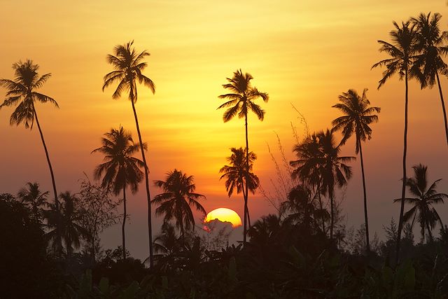 Voyage : Des plages de Zanzibar au coeur du Selous Voyage Des plages de Zanzibar au coeur du Selous