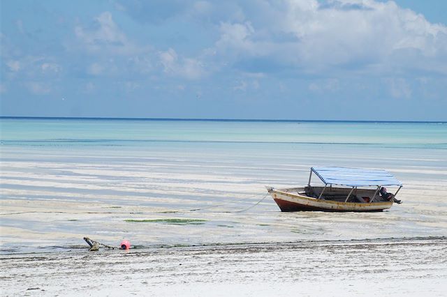 Voyage : Des plages de Zanzibar au coeur du Selous Voyage Des plages de Zanzibar au coeur du Selous