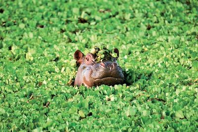 Voyages en famille Tanzanie