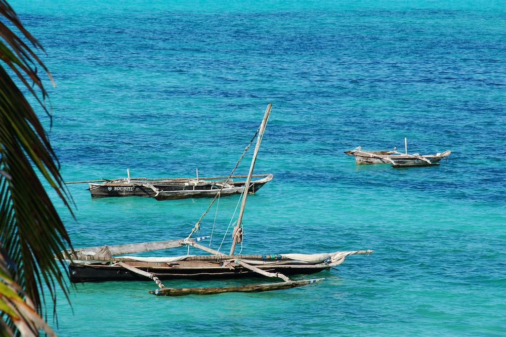 Safari Zanzibar