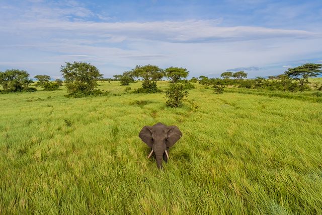 Voyage Le meilleur de l'Ouganda