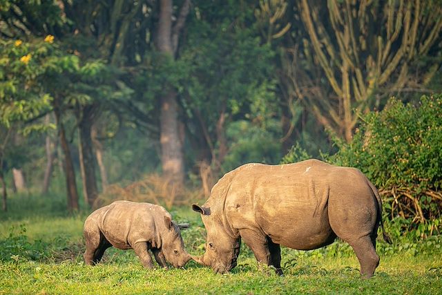Observation animalière : Les sources du Nil hors des sentiers battus Voyage Les sources du Nil hors des sentiers battus