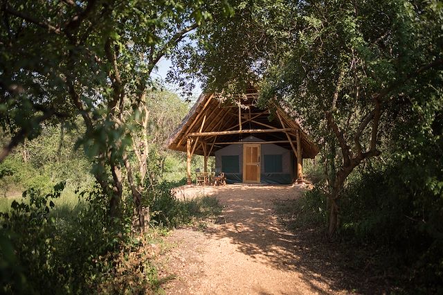 Voyage L'Ouganda : un trésor à explorer !