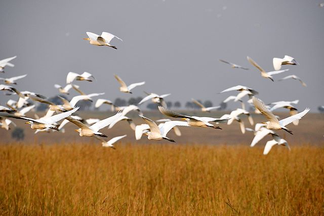 Voyage Voyage au Cœur de l’Ouganda