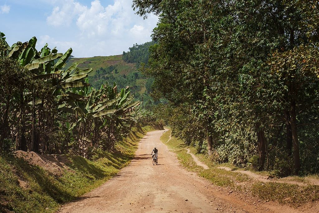 Voyage Ouganda