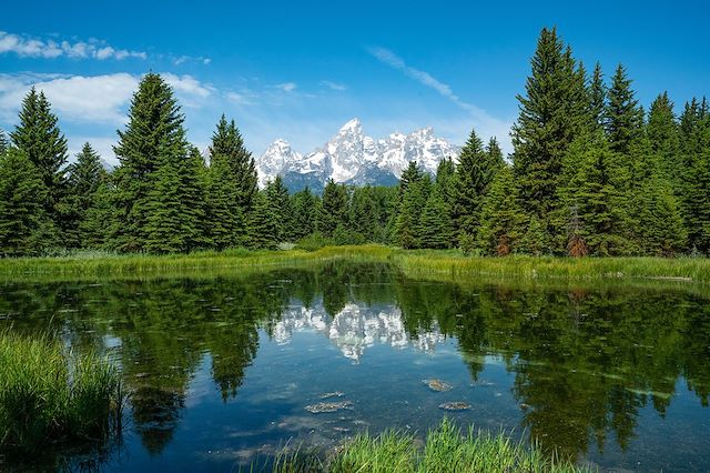 Voyage Geysers et glaciers du Wyoming au Montana