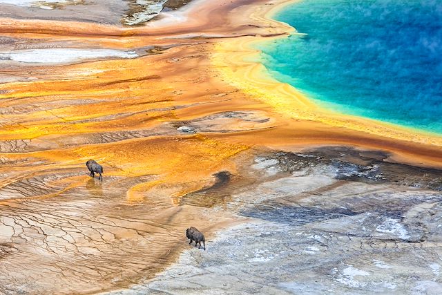 Les Rocheuses : Geysers et glaciers du Wyoming au Montana Voyage Geysers et glaciers du Wyoming au Montana