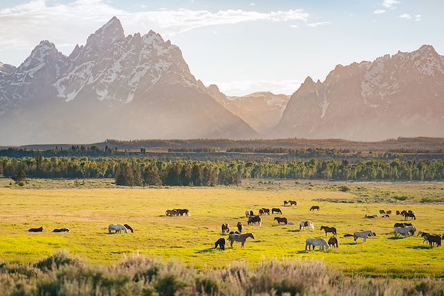 Voyage Geysers et glaciers du Wyoming au Montana