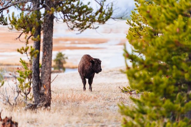 Les Rocheuses : Rocheuses et Rodéo, du Colorado au Wyoming  Voyage Rocheuses et Rodéo, du Colorado au Wyoming