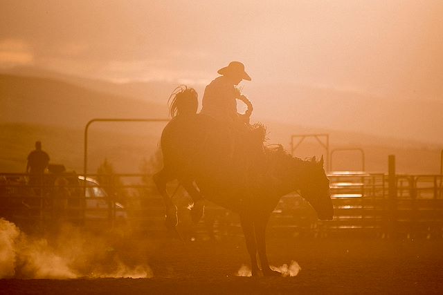 Voyage Rocheuses et Rodéo, du Colorado au Wyoming 