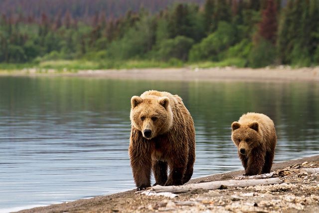 Voyage Randonnée entre mer et montagnes en Alaska