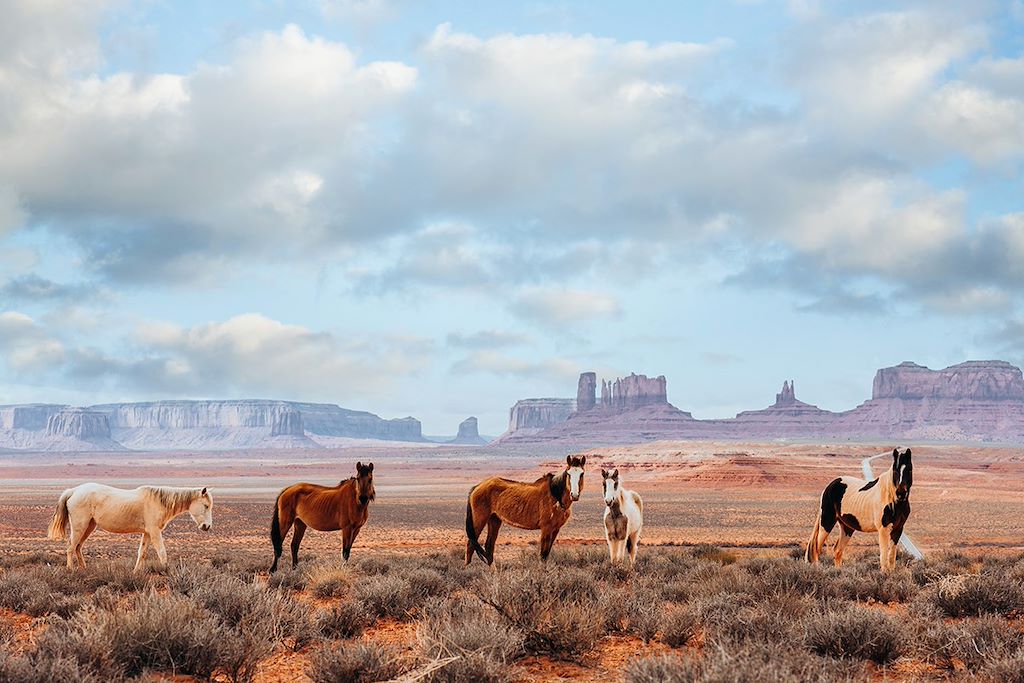 Voyage Etats-Unis