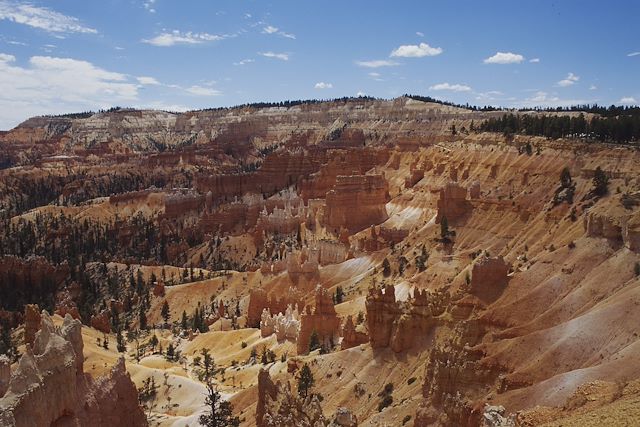 Voyage Petits cowboys, grands canyons : my american dream